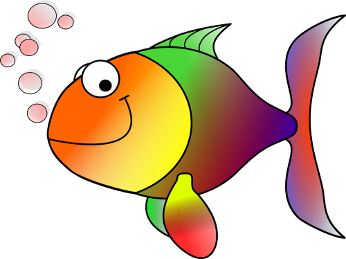 goldfish fish koi