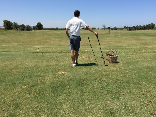 golf grass basket