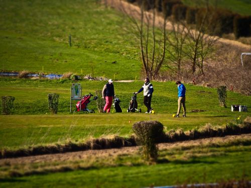 golf golfers green