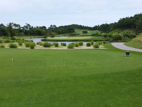 golf golf course field