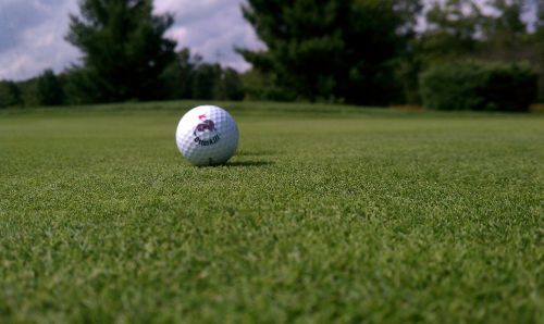 golf green golf ball