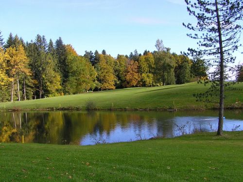 golf golf course meadow