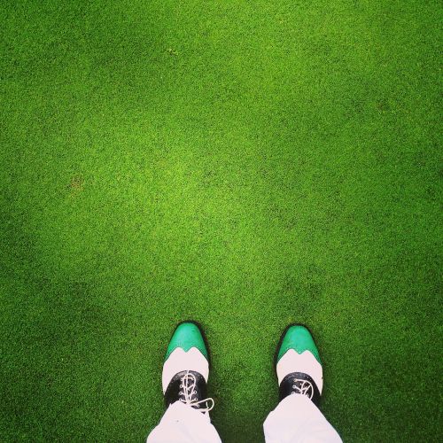 golf the golfcourse green