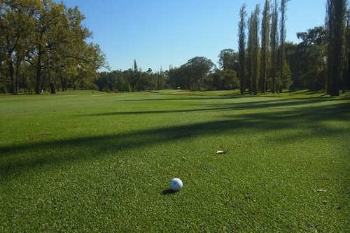 golf  golf course  golfball