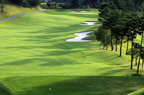 golf  green  field