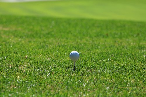 golf  golf course  grass