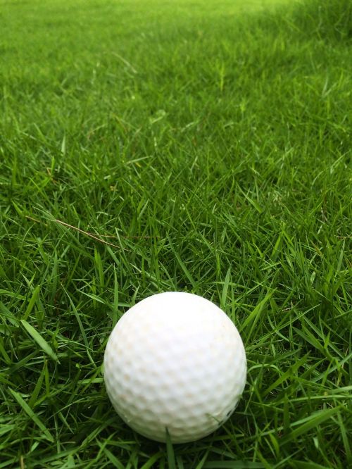golf grass garden