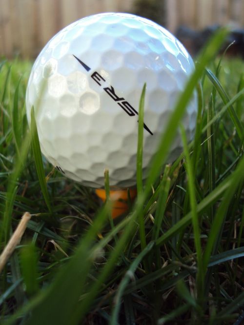 golf ball play golf