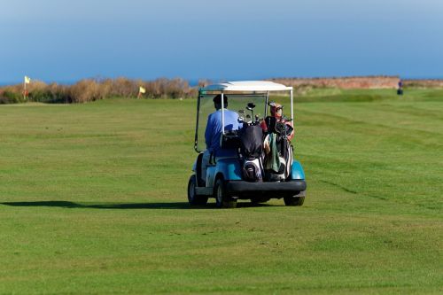 golf buggy golfers buggy