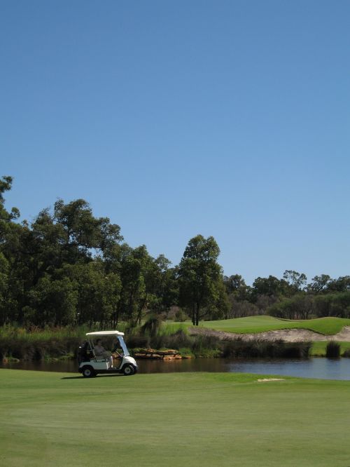 golf cart golf course buggy