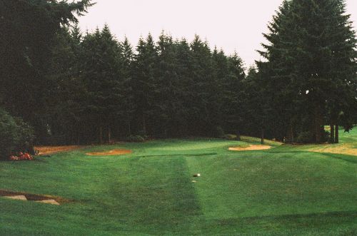 golf course fairway green