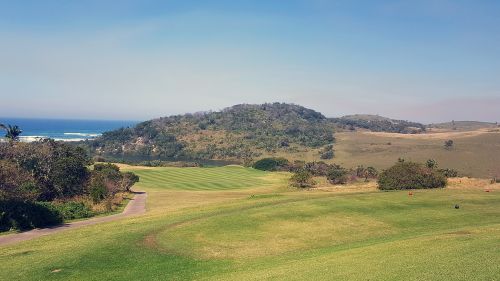 golf course golf golf course landscape
