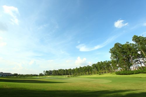 golf course green space landscape