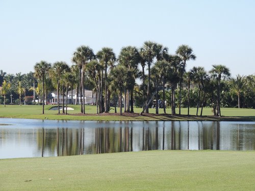 golf course  lake  landscape