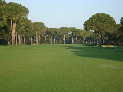 golf course golf meadow