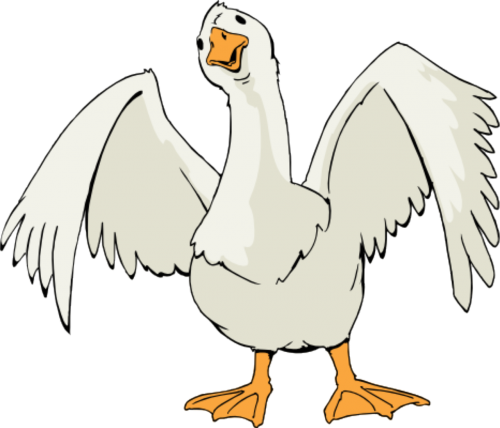 goose animal cartoon