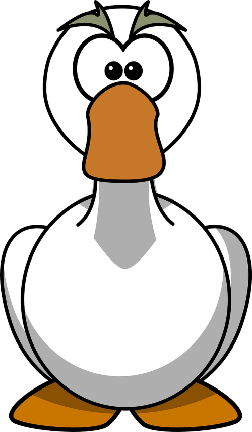 goose gander bird