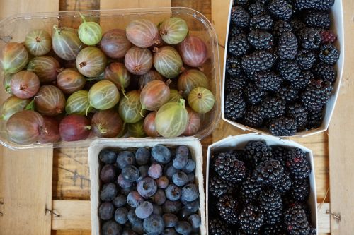 gooseberries berries healthy