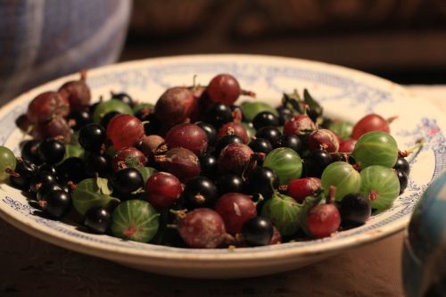 gooseberry plate berry