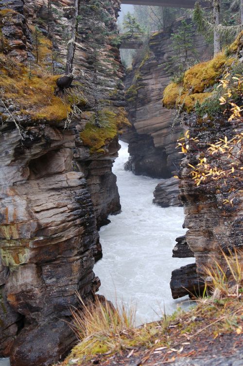 gorge canyon stream