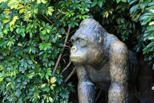 gorilla monkey sculpture