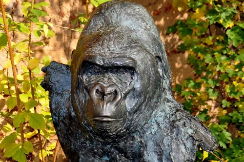 gorilla bronze sculpture wolfgang weber