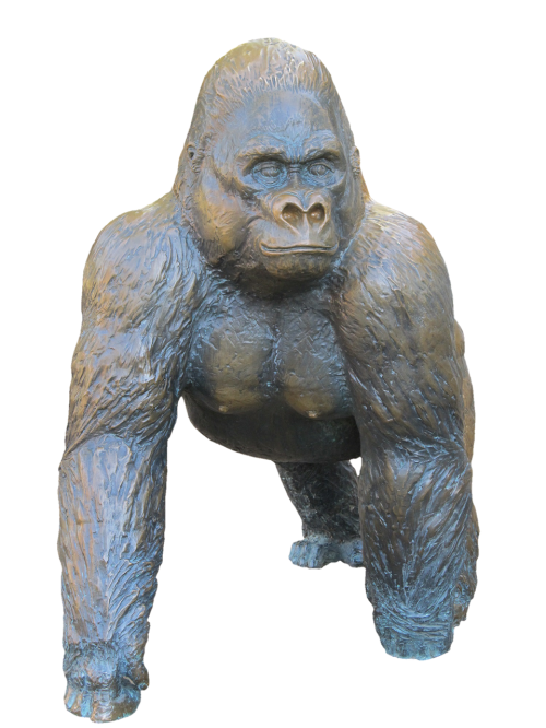 gorilla monkey ape
