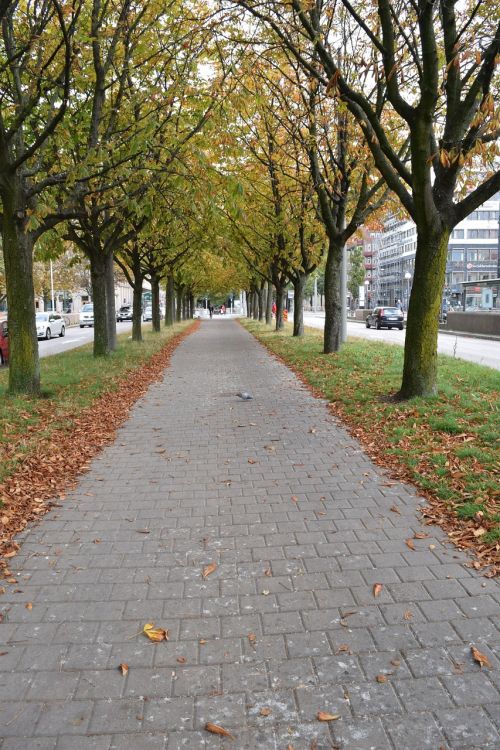 gothenburg autumn street