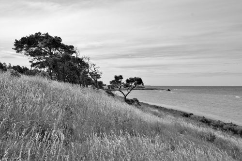 gotland sweden beach