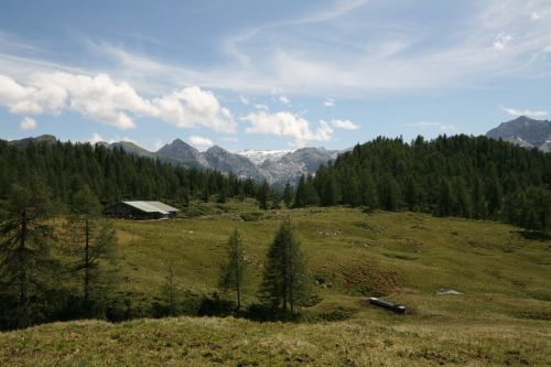 gotzalm plateau alpine meadows area