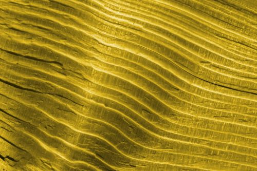 Gold Ripples