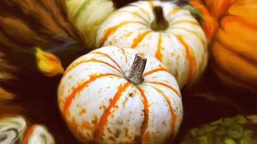 gourd pumpkins pumpkin