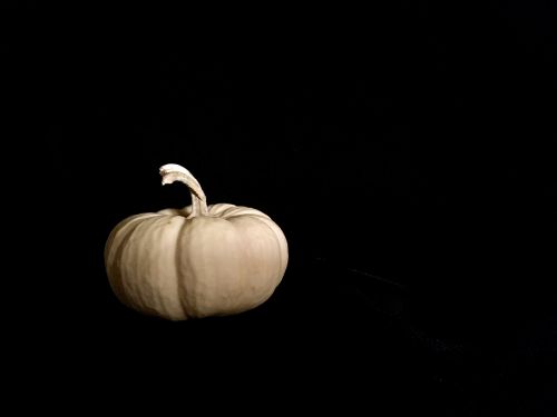gourd white pumpkin