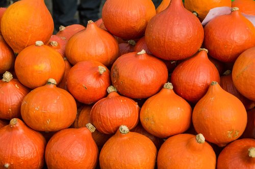 gourd  stacked  orange