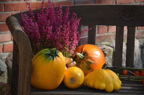 gourd pumpkin autumn decoration