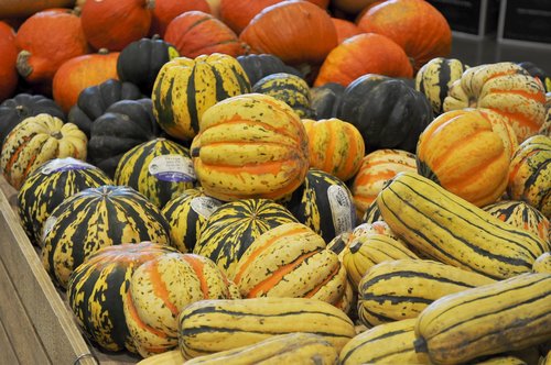 gourds  farmers market  yellow