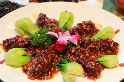 gourmet vegetarian food sea cucumber
