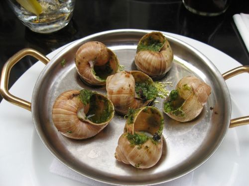 gourmet escargots snails