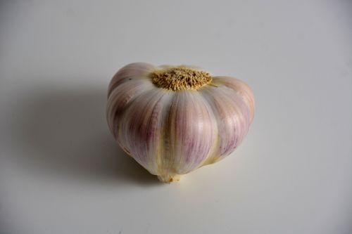 Clove Garlic