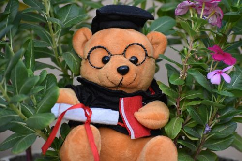 graduated teddy bear gift
