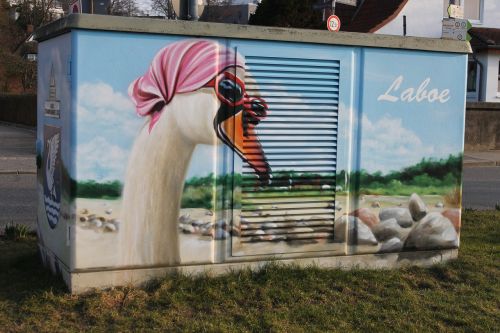 graffiti street art swan