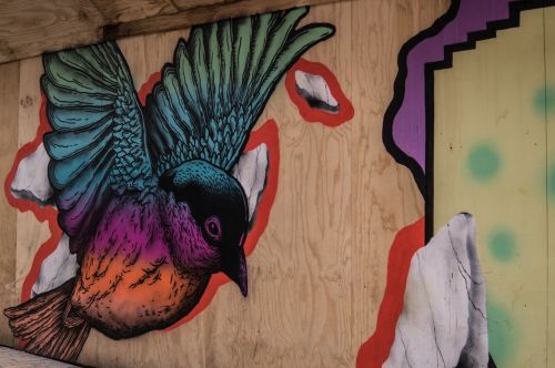 graffiti bird painting