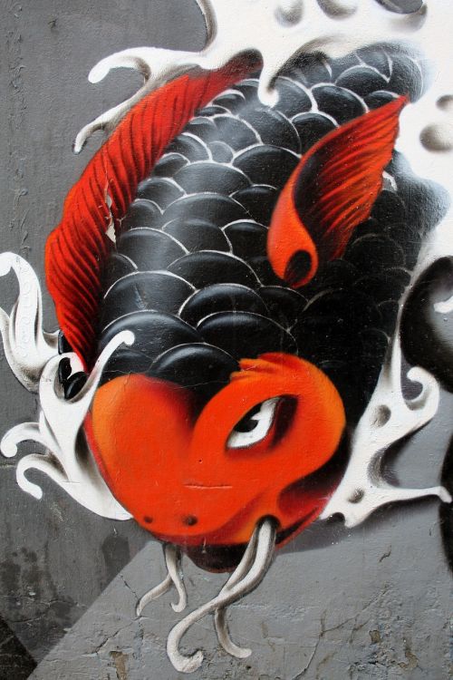 graffiti urban art carp