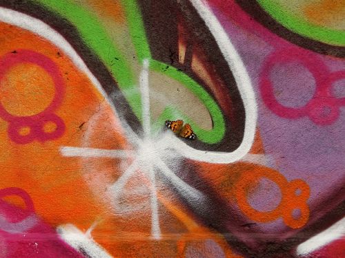 graffiti animal insect