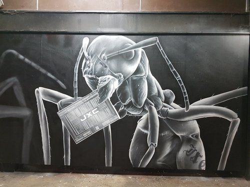 graffiti  ant  art