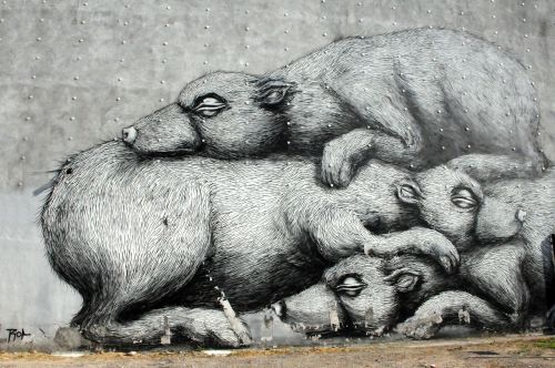 graffiti warsaw painted wall