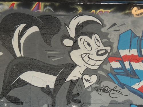 graffiti street art squirrel