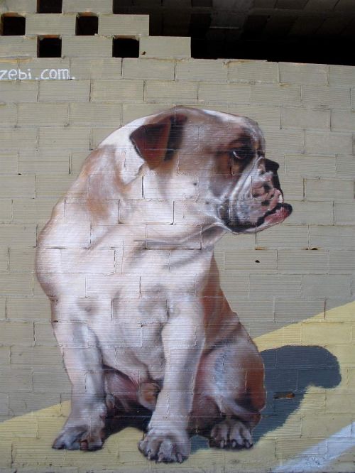 graffiti bulldog mural