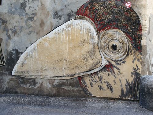 grafiti bird road
