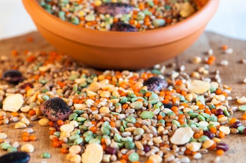 grain cereal bowl bean